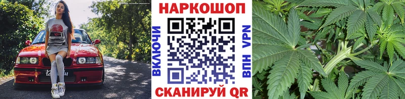 Где купить наркоту Снежногорск APVP  МЕФ  Каннабис  NBOMe  COCAIN 