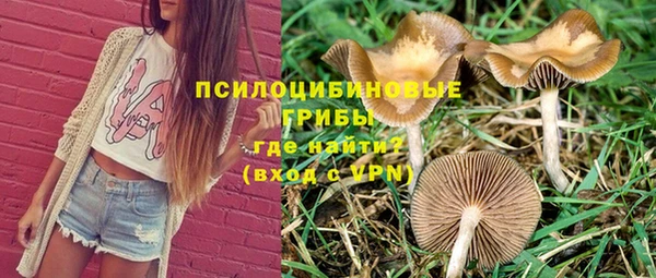 соль ск Пересвет