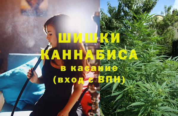 ECSTASY Болотное