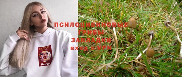 хмурый Пестово