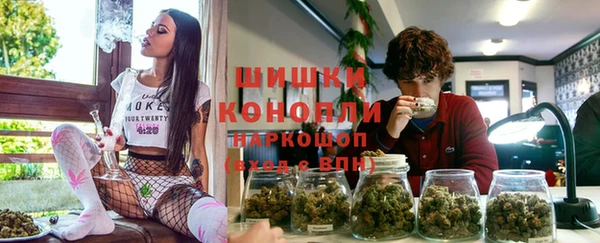 соль ск Пересвет