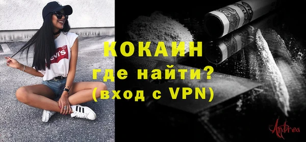 соль ск Пересвет