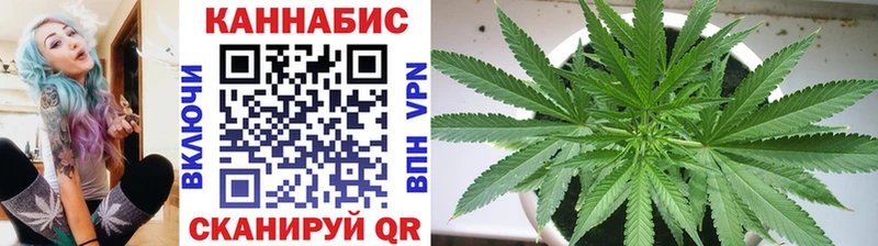 цена Снежногорск МАРИХУАНА OG Kush